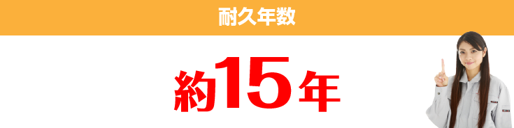 耐久年数 約15年