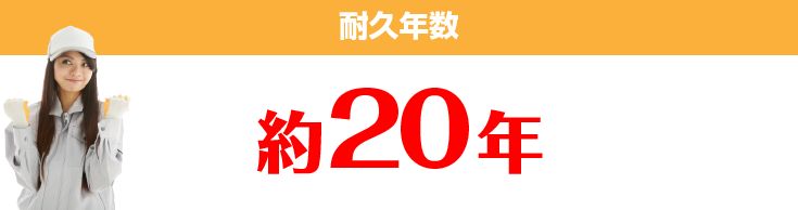 耐久年数 約20年