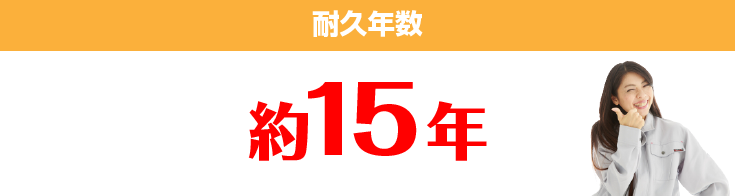 耐久年数 約15年