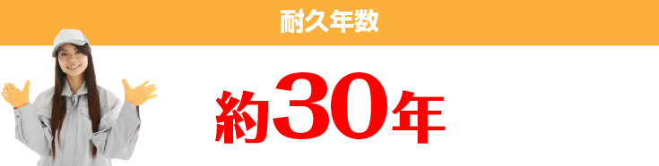 耐久年数 約30年